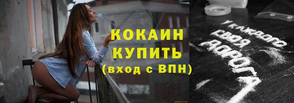 apvp Алексин