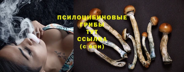 меф Алзамай