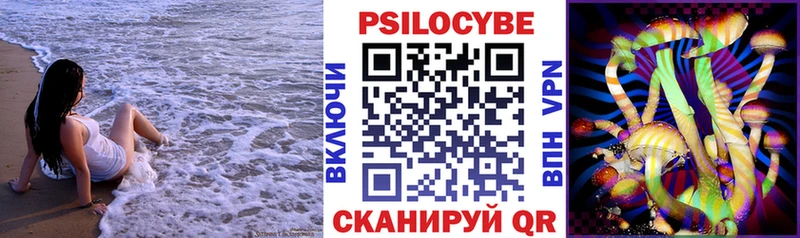 что такое наркотик  Плавск  блэк спрут зеркало  Галлюциногенные грибы Psilocybe 