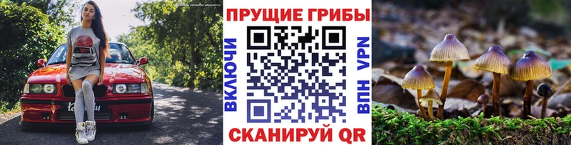 Псилоцибиновые грибы Magic Shrooms Плавск